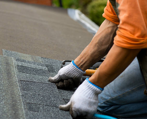 Professional Roofing Contractor in Brushy Creek, TX
